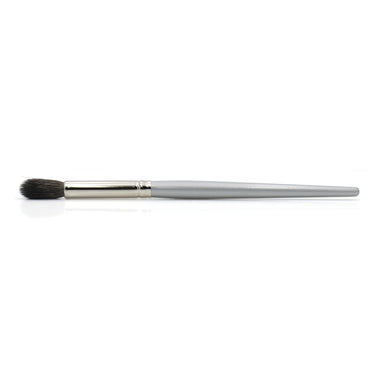 CLEAN SWEEP- BRUSH